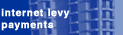 Internet Levy Payments
